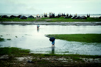 Along The Coastal Bay of Bengal